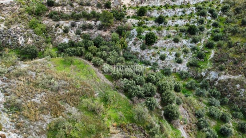 Foto 4839e886-503a-41fb-b414-58a6ec6bab5f. Rural plot in Motril ciudad Motril