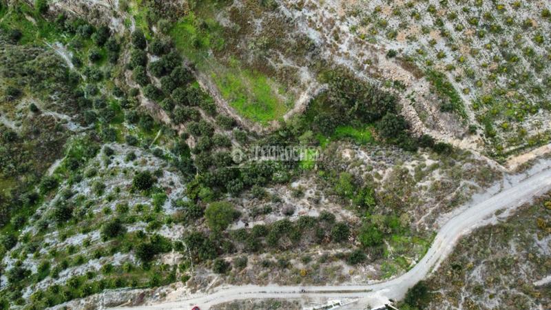 Foto 82f1afb1-fd3f-415f-8d1b-6e829fc46ddb. Rural plot in Motril ciudad Motril