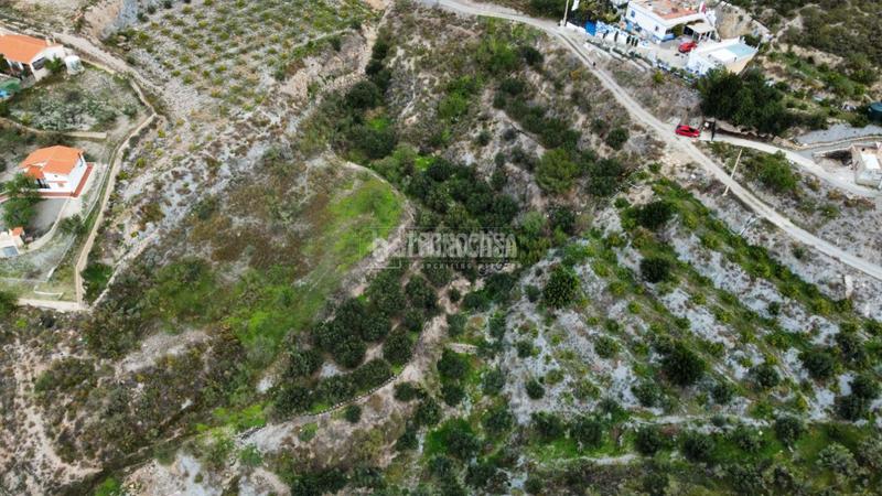 Foto e2214df5-742c-495d-8e7d-d1375841900f. Rural plot in Motril ciudad Motril