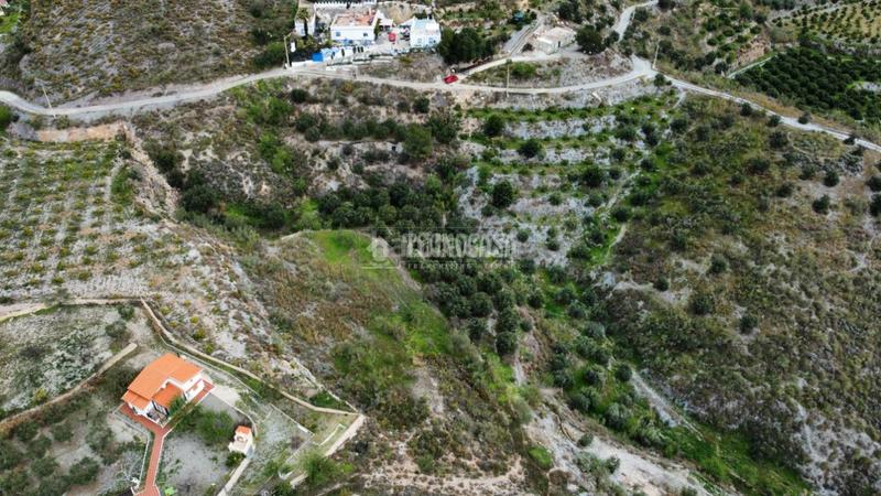 Foto f92cfdb7-70a0-4700-a99e-5b49fc914400. Rural plot in Motril ciudad Motril
