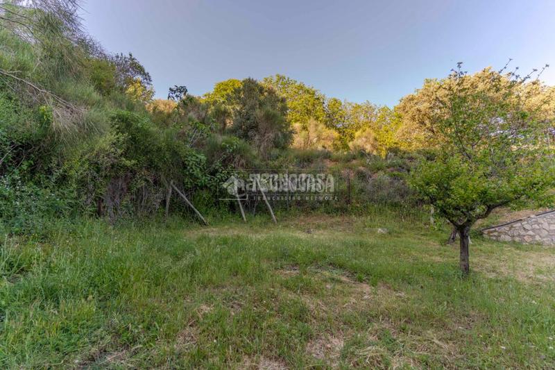 Foto c0b0dec9-9f61-4242-87fc-2bf51e1e08a2. Masia amb aparcament a Órgiva