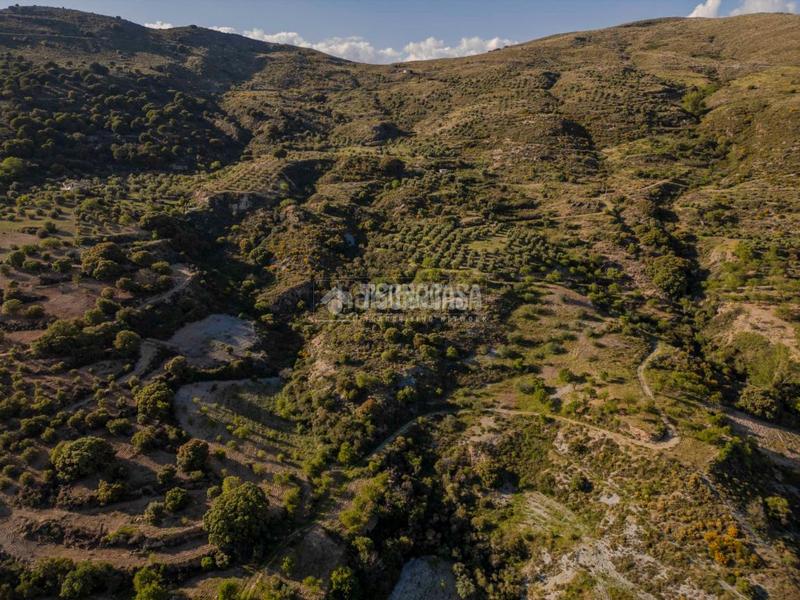 Foto cbeb9e3e-98ae-4c65-a9f6-dc59f3d33d29. Masia amb aparcament a Órgiva