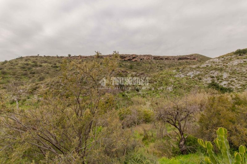 Foto f97f891f-668f-406a-84d0-d37d3ab63d8d. Masia a Los Tablones - La Garnatilla Motril