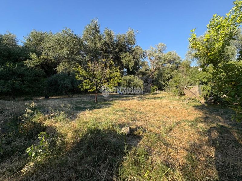 Foto 09686dd4-be56-458a-92fc-ddce99134f25. Masia amb aparcament piscina a Puente Jontoya - Puente de la Sierra - El Arroyo Jaén
