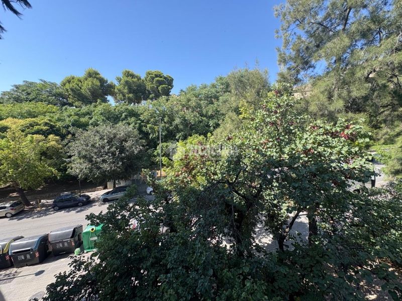 Foto 75bd890e-d555-43dd-bf95-278e9fd4c07f. Pis a San Ildefonso - Catedral Jaén
