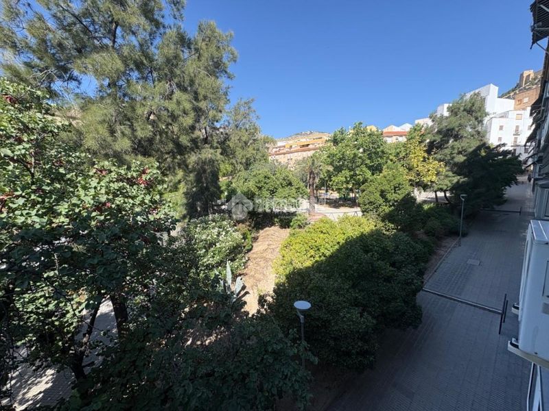 Foto 9fbe6612-6cb1-4e93-b632-24454424aab2. Pis a San Ildefonso - Catedral Jaén