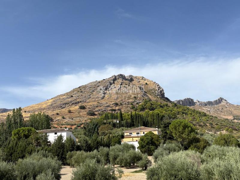 Foto 485955f4-a3b9-4b85-881b-af015fe83065. Maison jumelée dans Alcantarilla - La Glorieta Jaén