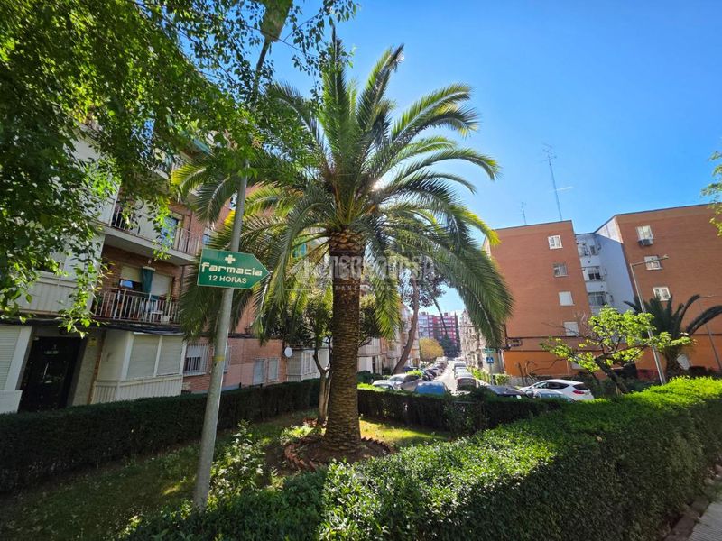 Foto 5f18f2fd-49e8-4f0c-84e4-6b011d0e4813. Pis a Zona Centro Joven Alcorcón