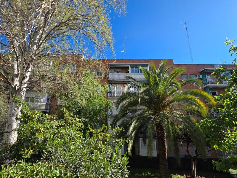 Foto 872dddac-2051-444c-8921-5d373f229059. Pis a Zona Centro Joven Alcorcón