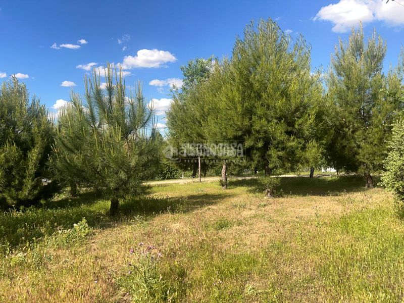 Foto a6caea12-570e-48af-bb79-0a534720c5e7. Casa  en venta en Campamento Madrid