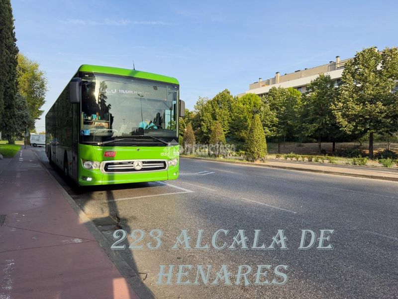 Foto 840c2c17-890c-43c3-b8a2-cbc92052ab6d. Pis a Reyes Católicos Alcalá de Henares