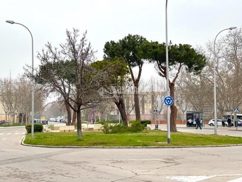 Foto 92170d6a-1584-44c0-a39d-7c0ffaabbc5a. Piso  en venta en Amposta Madrid