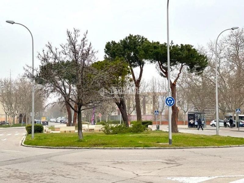Foto 8c443b3f-57fc-4c4f-8151-2b182bdff5a1. Pis a Amposta Madrid