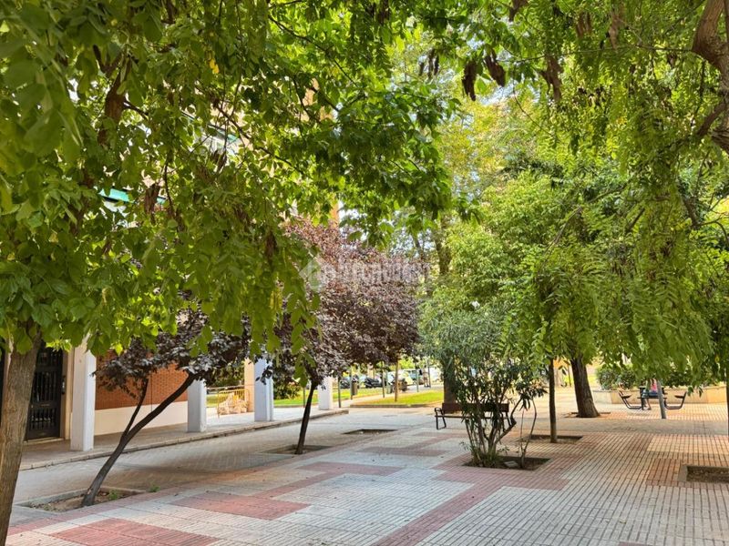 Foto f101c52e-ac3d-439f-a9a9-640df673d629. Pis a Arcos Madrid