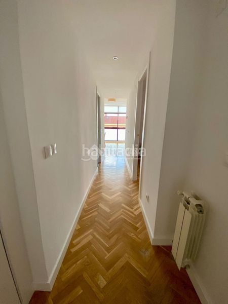 Foto 15c18a1d-f188-4b81-83cf-0d9f1314c746. Pis a Berruguete Madrid