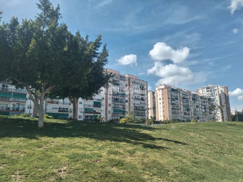 Foto 790332f0-248c-43f7-b861-171f87da4d5b. Pis a Martiricos - La Roca - La Rosaleda Málaga