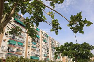 Pis a Martiricos - La Roca - La Rosaleda. Piso en venta en málaga