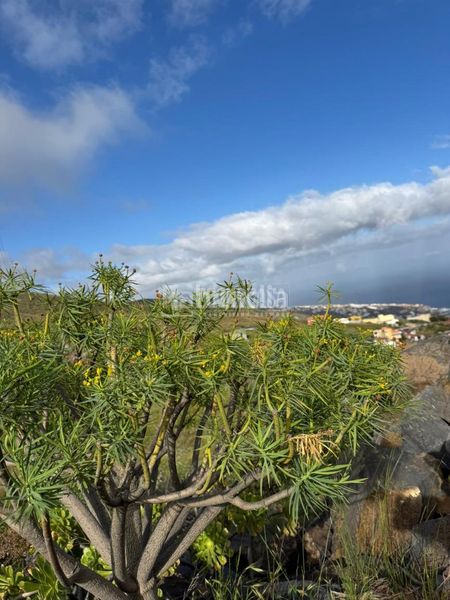 Foto 5eb595fb-ee02-47fb-b2c9-d9ab0fe70b5e. Finca rústica a Candelaria - playa la viuda Candelaria