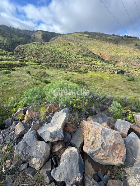 Foto cb8d3241-0a1c-4fe9-99ac-6980688f2327. Finca rústica a Candelaria - playa la viuda Candelaria