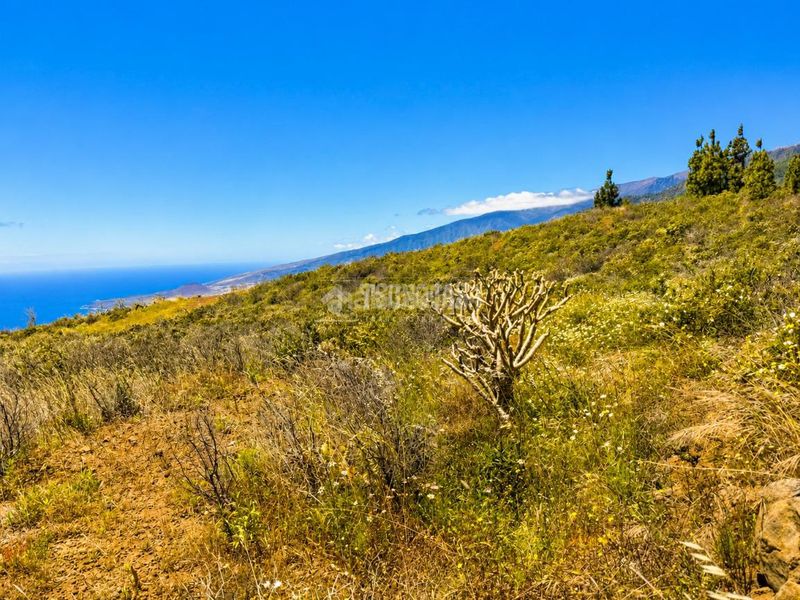 Foto acce7f7b-06f3-4987-966f-33358d8b1618. Finca rústica a Machado - Las Barreras Rosario (El)