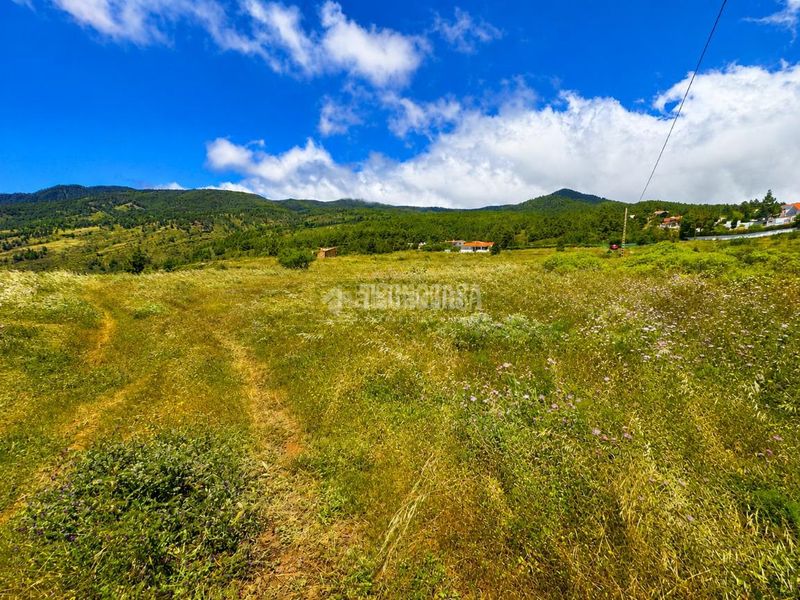 Foto d90ae153-caa6-4961-a5ff-571a947c5fc3. Finca rústica a Machado - Las Barreras Rosario (El)