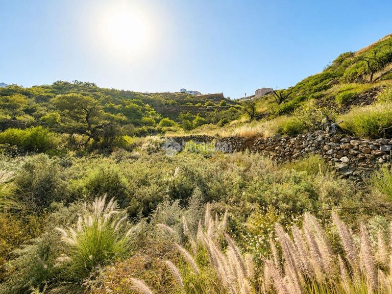 Foto ee55140a-d03b-4106-bf73-144f3146ccd1. Terreny residencial a Cuevecitas - Malpaís Candelaria