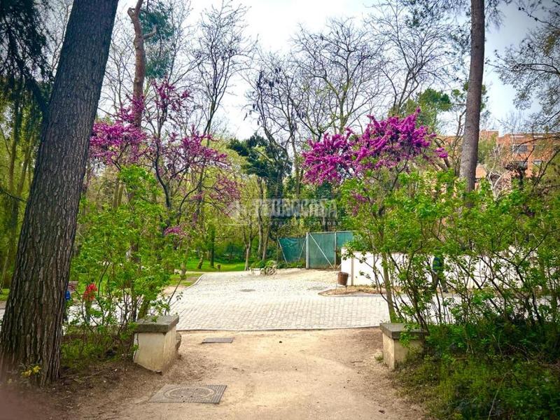 Foto b5c72d89-1c4e-4bf7-b636-c45c39cc022e. Studio with heating parking in Simancas Madrid