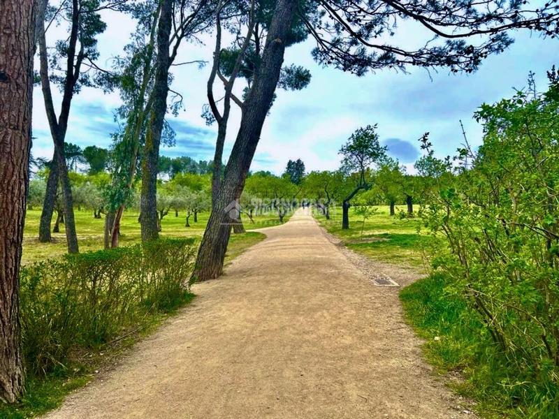 Foto e1185857-4a66-4cf5-8299-80533de4a8a1. Studio with heating parking in Simancas Madrid