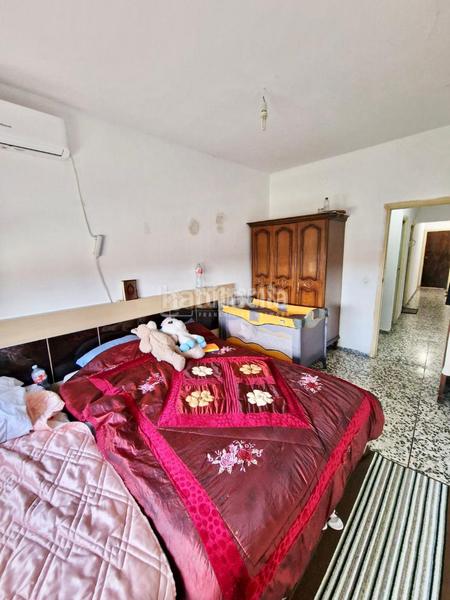 Foto 6712deb8-c18c-4dac-ac4d-bb682cd7de2c. Pis a Yuncler