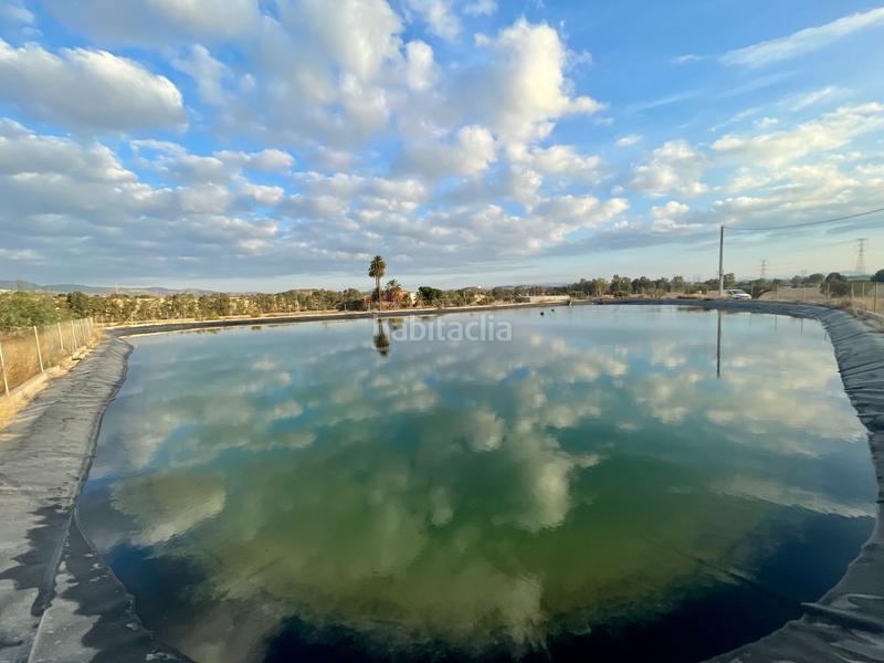 Foto 2b52c40b-0c2f-447a-ab38-9a21edc826e0. Landgut in Turre