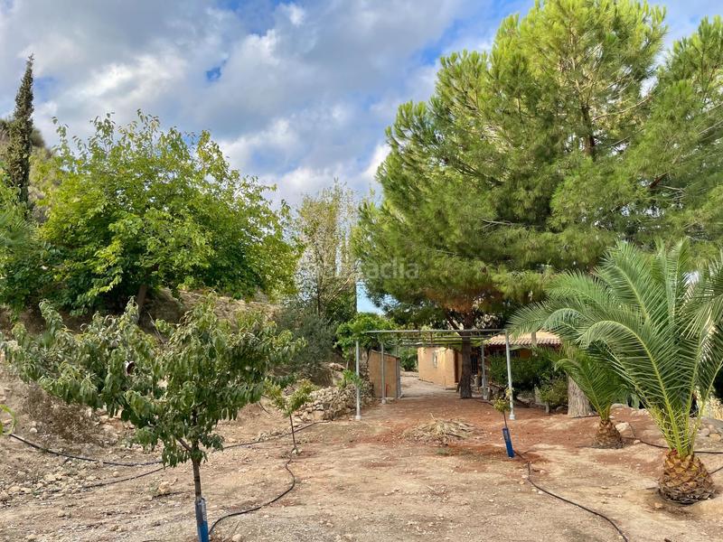 Foto 4212d3fb-3f62-4d05-bf59-74548a9a2260. Landgut in Turre