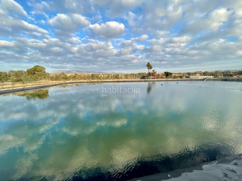 Foto 814a11f6-e528-46fd-9132-b87bb2fe2d17. Landgut in Turre