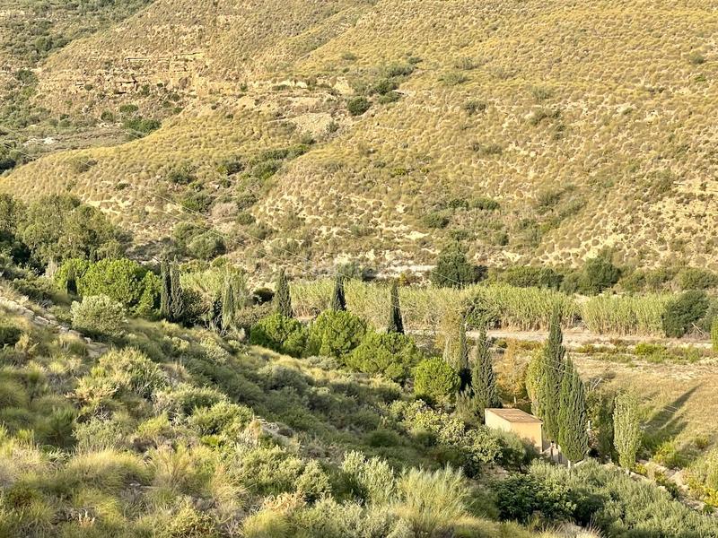 Foto 9ed66b7e-8c66-45b5-96f4-061d111c9cb2. Landgut in Turre