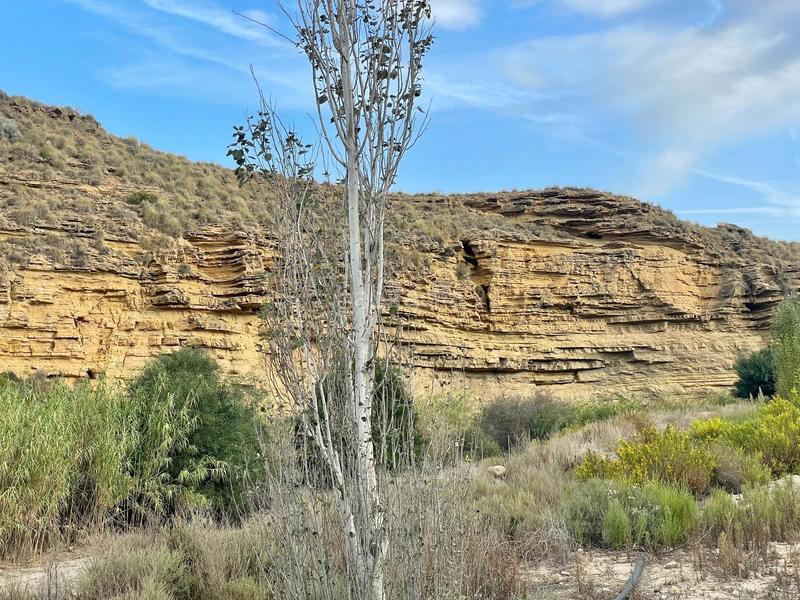 Foto ad657653-9f6d-45db-afe8-e087b2eb5650. Landgut in Turre