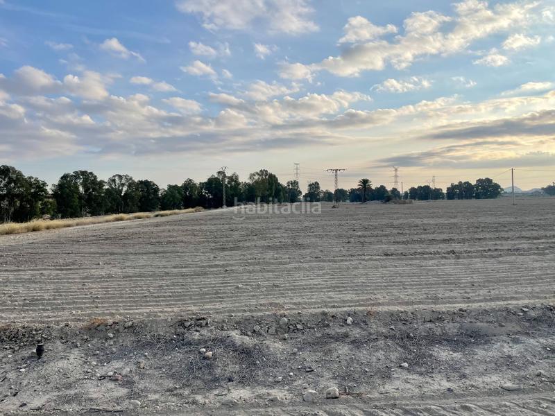 Foto bd7e671e-1eb8-4ddd-80b5-d85653a60119. Landgut in Turre