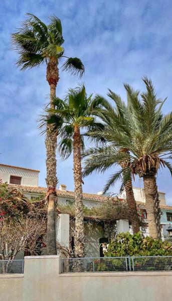 Foto 0ef823ca-9558-4cb6-857f-90a7cc2abd8c. Bauernhof in las alparatas in Mojácar pueblo Mojácar