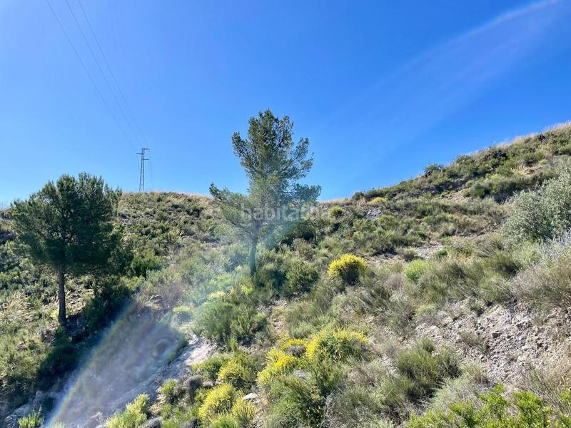 Foto fbcd963f-ab6d-48ea-8496-6e7339415ead. Masía en el fas casa de campo con 11 hectáreas vivienda, naves, agua, luz y gran potencial agrícola o turístico en Cantoria