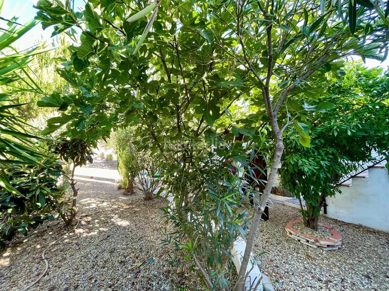 Foto 2db0761e-b2b5-4f47-84ff-5bbb340363e3. Masía cortijo reformado con encanto en Arboleas