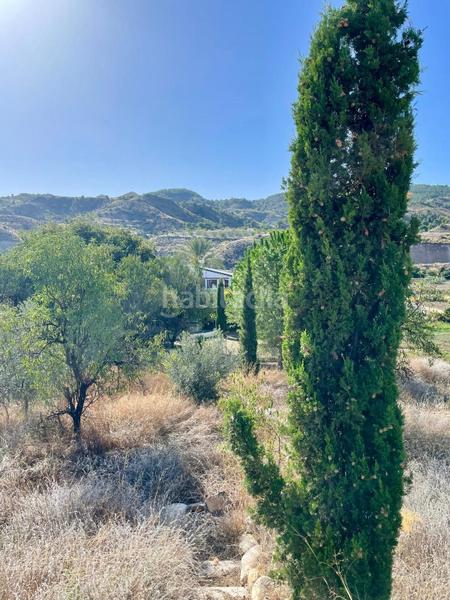 Foto 7a9485a2-40fc-43a1-a9f0-2b1ae1d94aed. Masía cortijo reformado con encanto en Arboleas