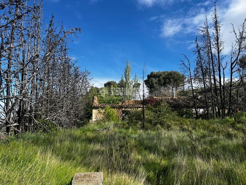 Foto 71f2bd2f-e8d0-47e6-8231-bcbe66bddb74. Finca rústica a Borja