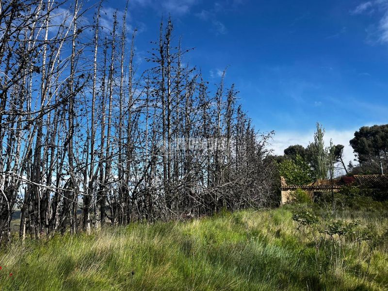 Foto bc06e662-b9f8-4d0c-9eb6-2a9a71f88f22. Finca rústica a Borja