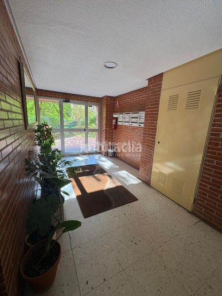 Foto 613335f2-8c8c-4338-9a42-dbd5698d9d7a. Pis a Palomeras Bajas Madrid