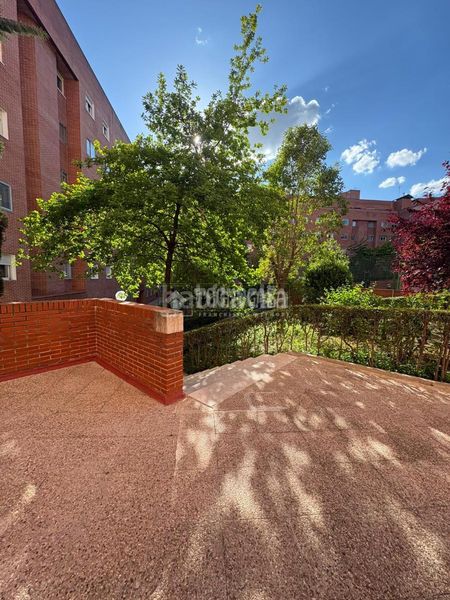 Foto edd52e26-24c0-43ad-8b42-3d5e0e05b7ab. Pis a Palomeras Bajas Madrid