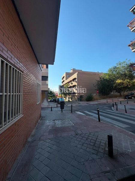 Foto fb6a281f-1f6e-4bbf-ae96-c6efb1bb9b6c. Pis a Palomeras Bajas Madrid