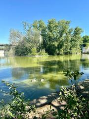 Terreny residencial en Timn. Terrenos en venta en madrid