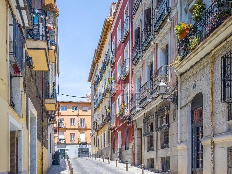 Foto e4fa7466-ad34-4854-8703-7981825a751b. Pis a Embajadores-Lavapiés Madrid