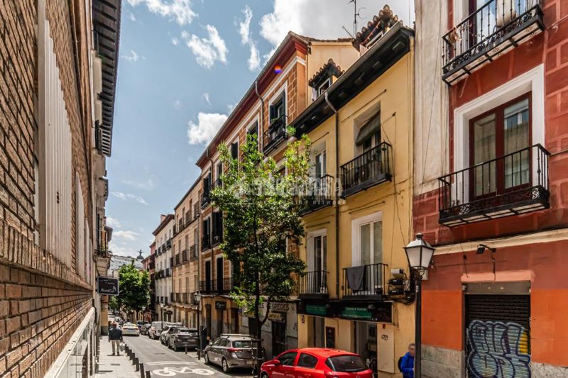 Foto 3973fee3-dff1-482c-a3e1-dd3a5d4e1b80. Estudi a Universidad-Malasaña Madrid