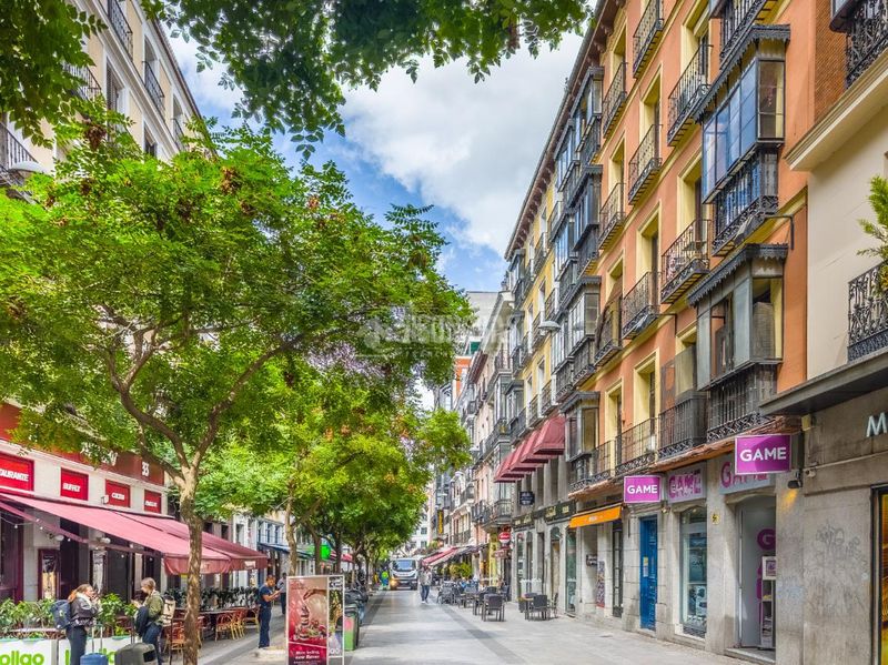 Foto 8b04a6e4-5642-44c7-82f1-833c392cbac4. Piso  en venta en Sol Madrid