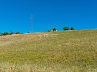 Finca rstica en Centro. Terrenos en venta en alhaurn de la torre
