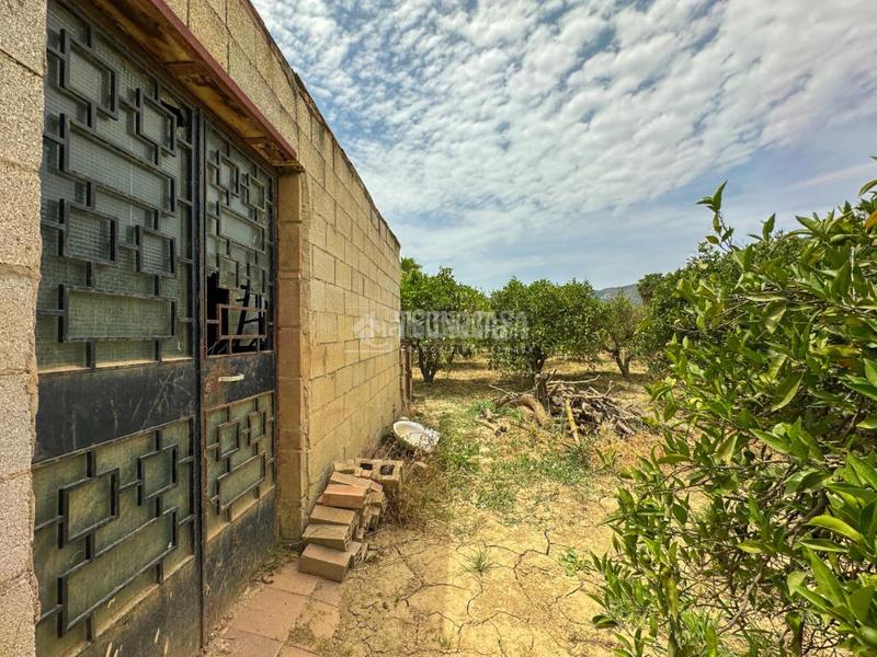 Foto 06ceee06-7226-41f0-9257-38ada3bf6b6c. Finca rústica terrenos en venta en El Romeral-Peñón de Zapata Alhaurín de la Torre